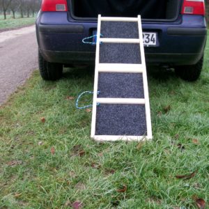 Easy-Hopper Hunderampe Standard Natur mit Rasenbelag