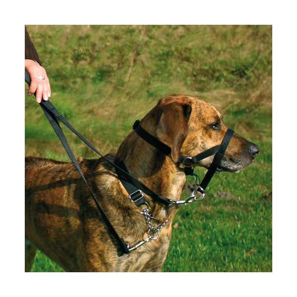 Trixie Top Trainer Ausbildungsgeschirr - max. 46 cm – Bild 3