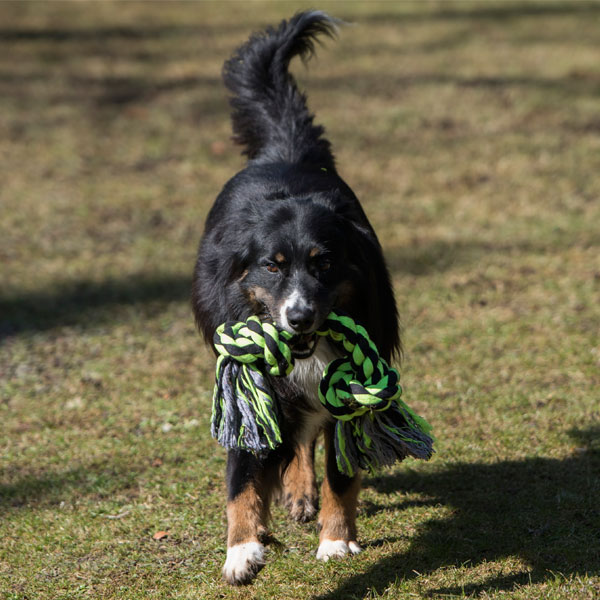 PROCYON XXL-Kauseil - 2 Knoten / 50 cm – Bild 4