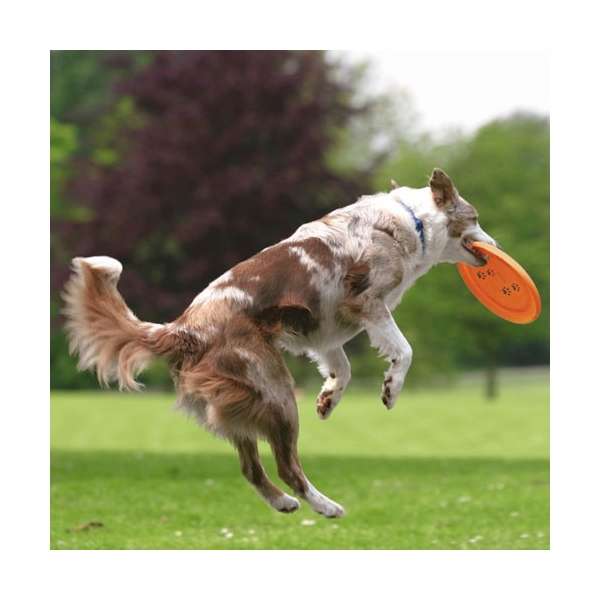 Trixie Dog Disc Frisbee bissfest - 23 cm – Bild 5
