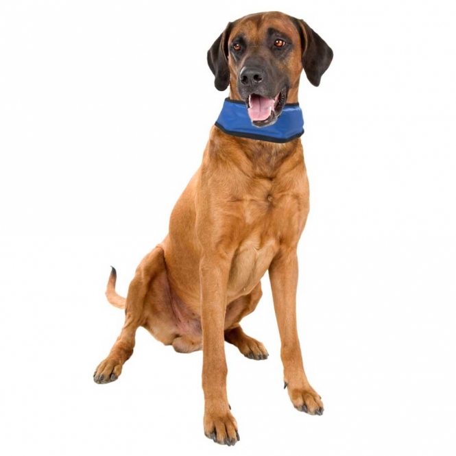 Karlie Flamingo Kühlbandana Fresk - L (45 - 65 cm) – Bild 4