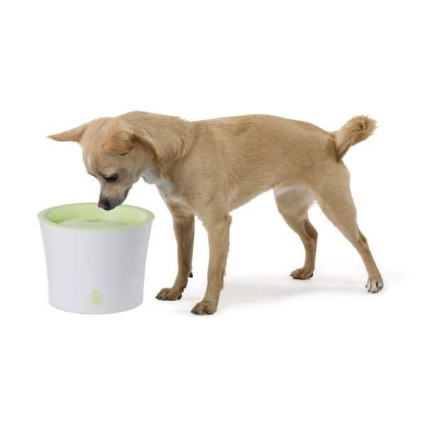 CATIT Fresh+Clear Trinkbrunnen 3L - Lindgrün – Bild 8