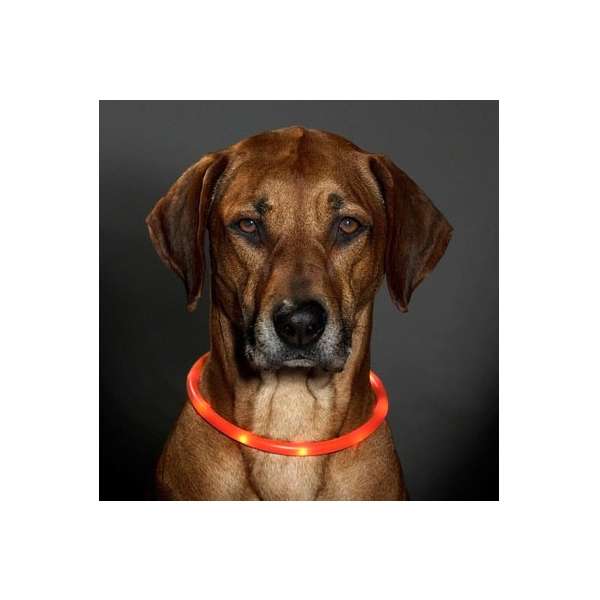 Karlie Visio Light LED-Leuchtschlauch mit USB - Orange – Bild 4