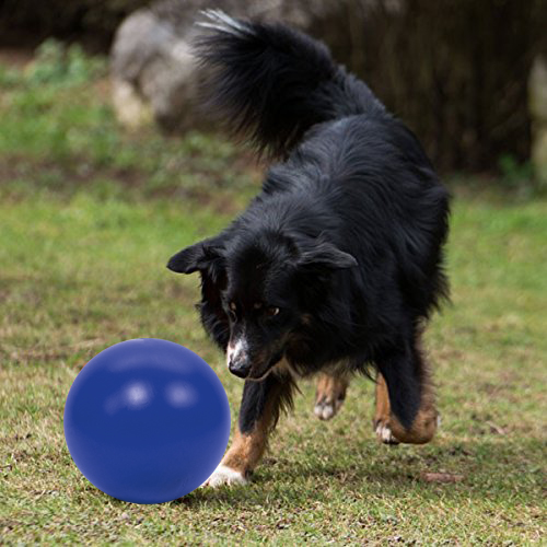 PROCYON Treibball - Blau – Bild 3