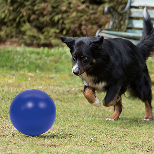 PROCYON Treibball - Blau – Bild 4