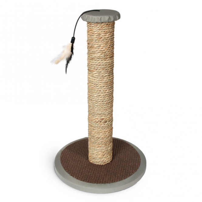 Karlie Kratzsäule Rofra – Bild 5